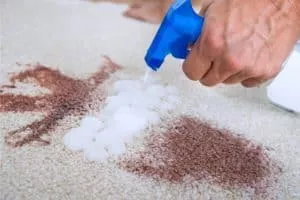 ניקוי שטיחים בגדרה 1 המלצה ניקוי שטיחים בגדרה