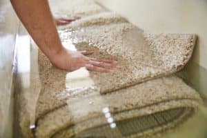 ניקוי שטיחים ברמת השרון מומלץ
